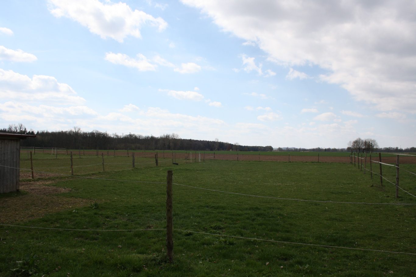 Koppel mit Blick zum See